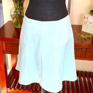 Ann Taylor Loft Flare Skirt